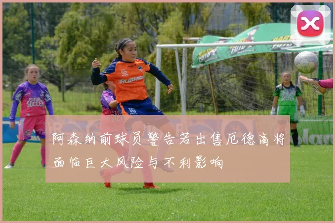 阿森纳前球员警告若出售厄德高将面临巨大风险与不利影响