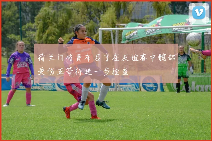 荷兰门将费布吕亨在友谊赛中髋部受伤正等待进一步检查