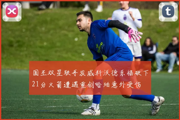 国王双星联手发威科沃德乐福砍下21分火箭遭遇重创哈珀意外受伤